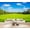 Color 3, variant on Wallpaper Scenic Golf Course Landscape Stone Bridge Reflective Water Peel and Stick Wall Murals 69"H x 96"W Removable PVC Wall Paper Self-Adhesive Wall Paintings Art Decor for Bedroom Living Room