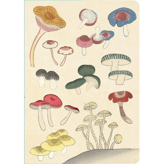 Journal Healing Mushrooms Lined Paperback Journal: Blank Notebook with Pocket, (Hardcover)