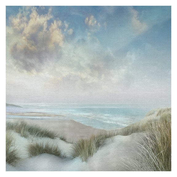 Fine Art Canvas Windswept III Coast by Mike Calascibetta Canvas Art Print