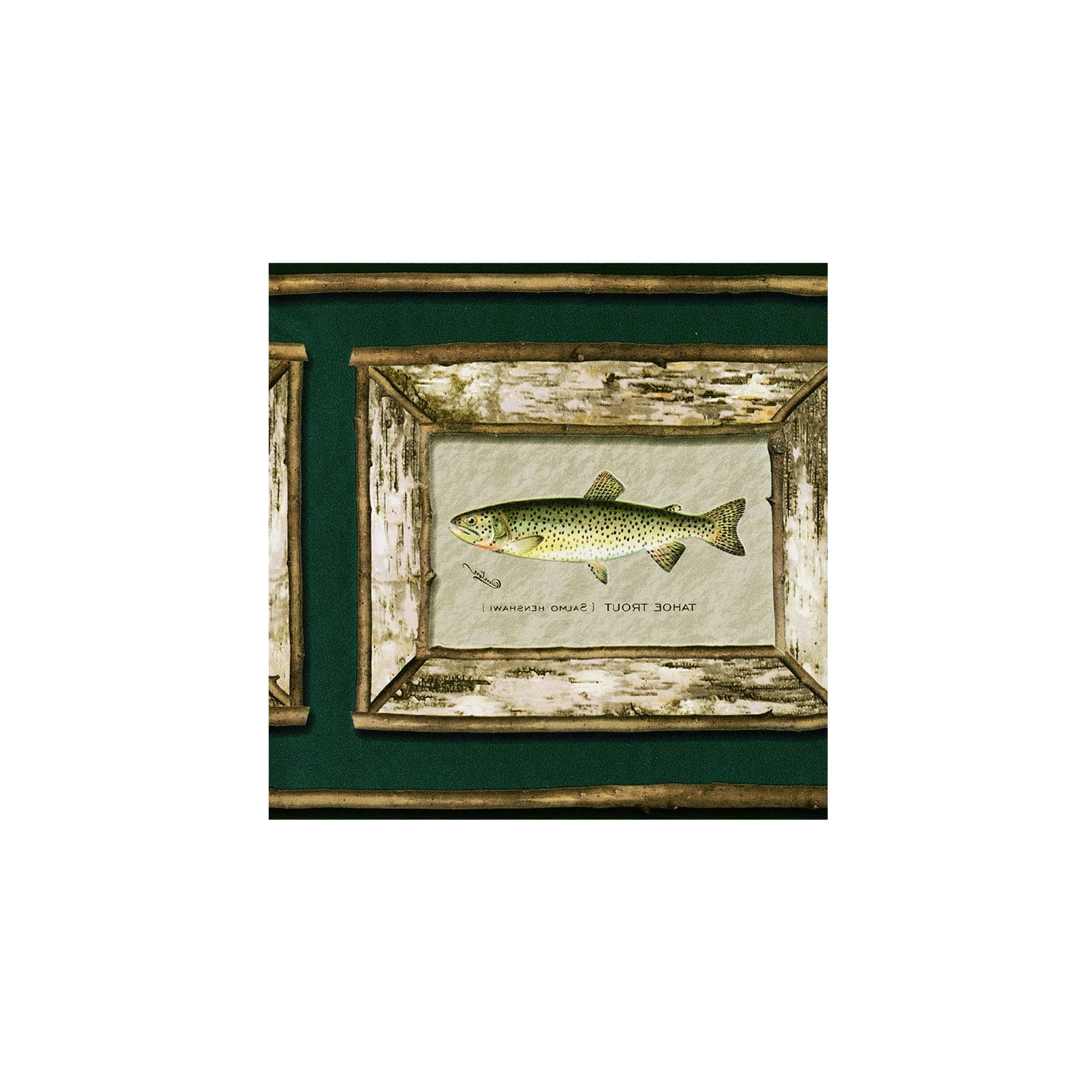 Classic Fishing Wallpaper Border Featuring a Gallery of Framed Atlantic Salmon Species