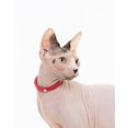 thumbnail image 4 of Collar para gatos Nuvuq, suave, cómodo y ligero, paquete de 2, rojo, 4 of 7