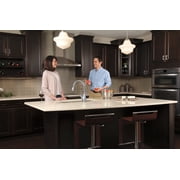 Delta Leland Single Handle Pull-Down Kitchen Faucet in Arctic Stainless 9178T-AR-DST