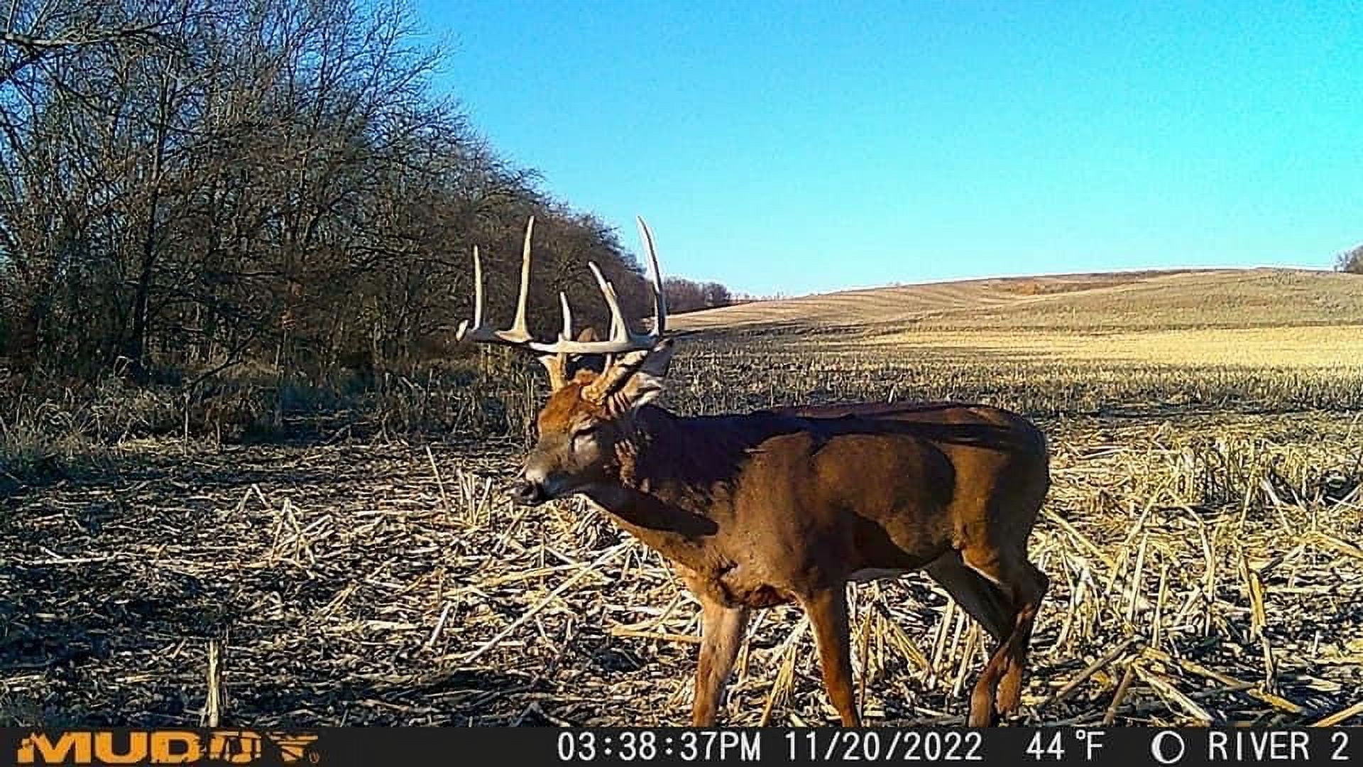 Muddy Outdoors Mitigator Cellular Trail Camera 20 MP