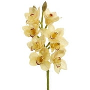 Allstate Floral Set of 6 Yellow Cymbidium Orchid Silk Artificial Flower Spring Sprays 28.5"