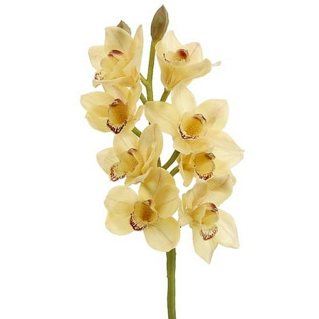Allstate Floral Set of 6 Yellow Cymbidium Orchid Silk Artificial Flower Spring Sprays 28.5"