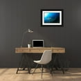 thumbnail image 3 of Y Lin, Ryan 18x13 Black Ornate Wood Framed with Double Matting Museum Art Print Titled - Shark And Fish, 3 of 4
