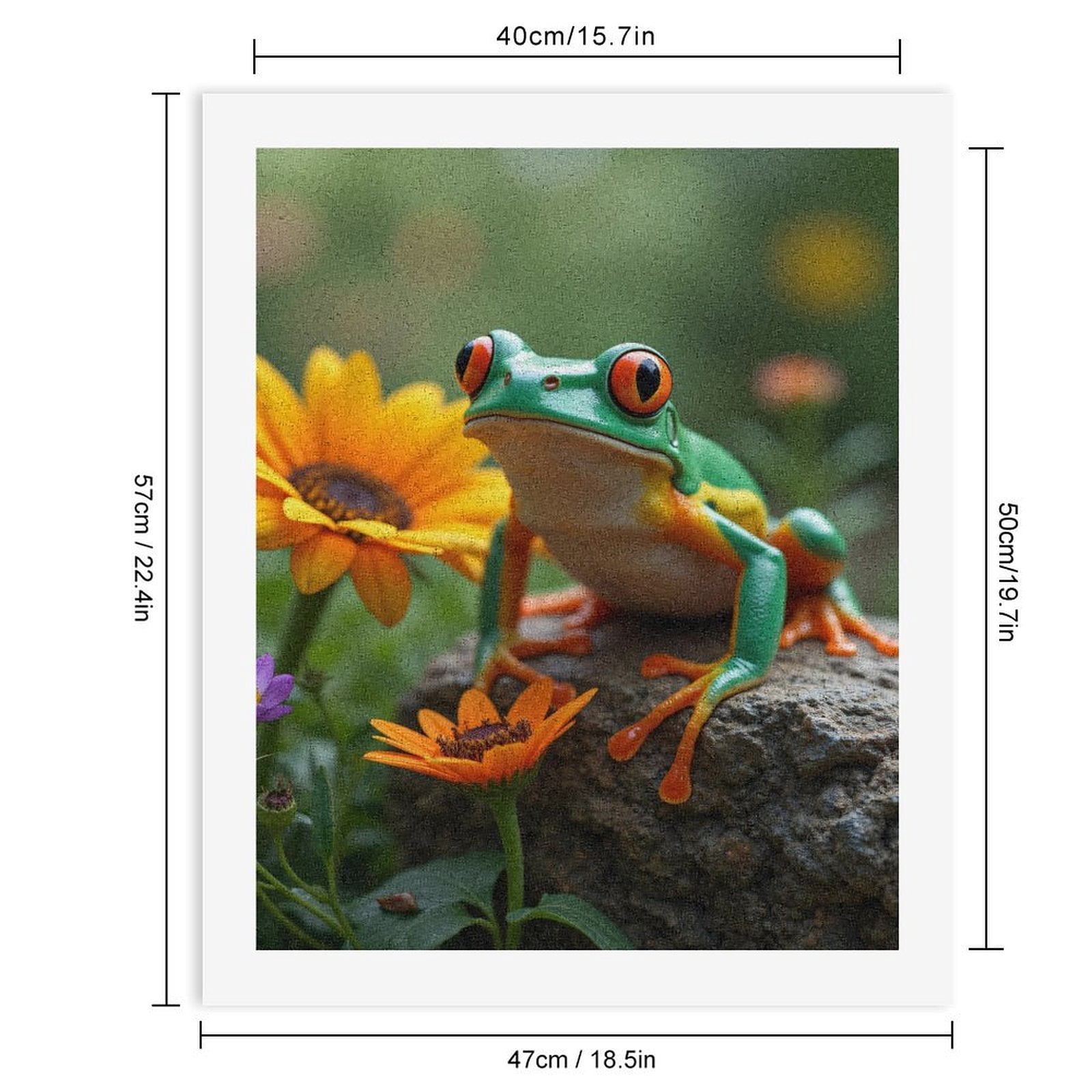Paint By Numbers Kit for Adults Beginner - DIY Frog On Rock With Colorful Flowers Canvas Painting Kits for Adults, Frameless Paint By Number for Adults for Home Wall Decor 16x20 Inch