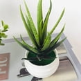 thumbnail image 4 of Artificial flowers,6Pack Artificial Succulent With Pots Small Succulents Indoor Succulent For Windowsills Bedroom Desk Bathroom Home Decor, 4 of 8