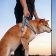 thumbnail image 5 of Dog Leash With Harness, No-Pull Pet Chest Strap, Adjustable Comfortable Dog Harness Leash Set For Small Medium Large Dogs, Outdoor Walking Training, Brown, Xl, 5 of 5