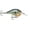 Bluegill, variant on Rapala Dives-To 08 Bluegill