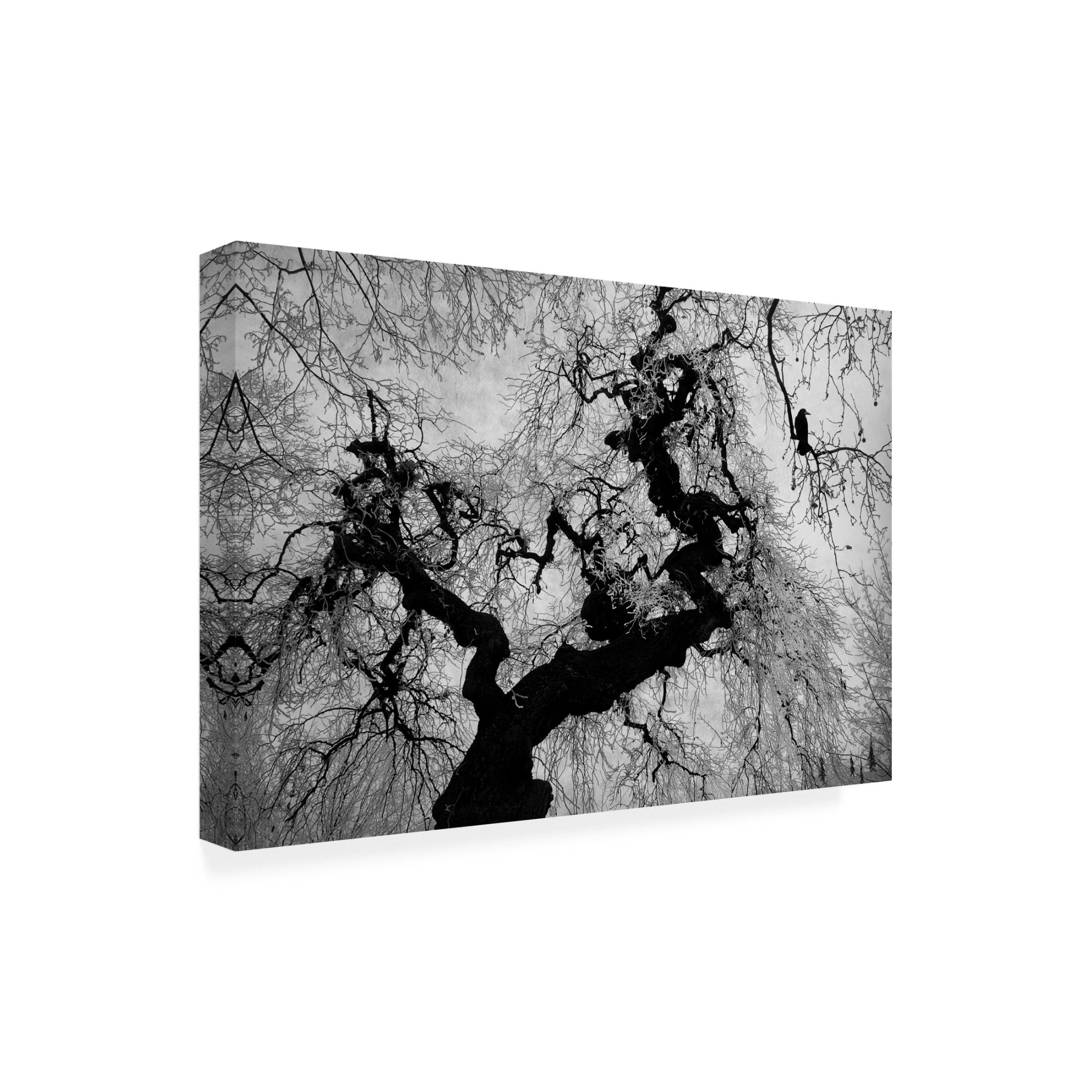 Trademark Fine Art Nicoleta Gabor  if on a winter's day Canvas Wall Art