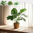 thumbnail image 1 of Plantas En Macetas De Plástico 1 unidad de planta artificial multicolor en maceta con césped sintético,hojas de tortuga y lirios del valle para decoración de interiores (multicolor) Rkxzt, 1 of 9