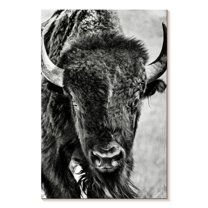 Elephant Stock Buffalo Portrait Wall Art - Vertical Canvas Wall Art - Living Room Wall Decor - Animal Canvas - White And Gray Decor By Phburchett - 16" x 24"