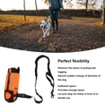 thumbnail image 3 of Dog Training Leash, Hand Free Dog Leash Reflective Strip Design Pet Running Leash Belt Bag High Flexibility Waist Dog Running Leash For Small Medium Dog, 3 of 8