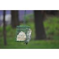 C&S Products Hanging EZ Fill Suet Cake Wild Bird Feeder- Green - image 8 of 8