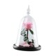 thumbnail image 2 of Regalo de flor de rosa Flor eterna para siempre Regalo de San Valentín Regalo romántico para Rosa oscuro, 2 of 9