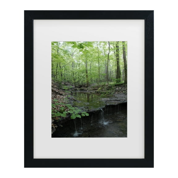 Trademark Fine Art 'Tiny Forest Falls' Canvas Art by Kurt Shaffer