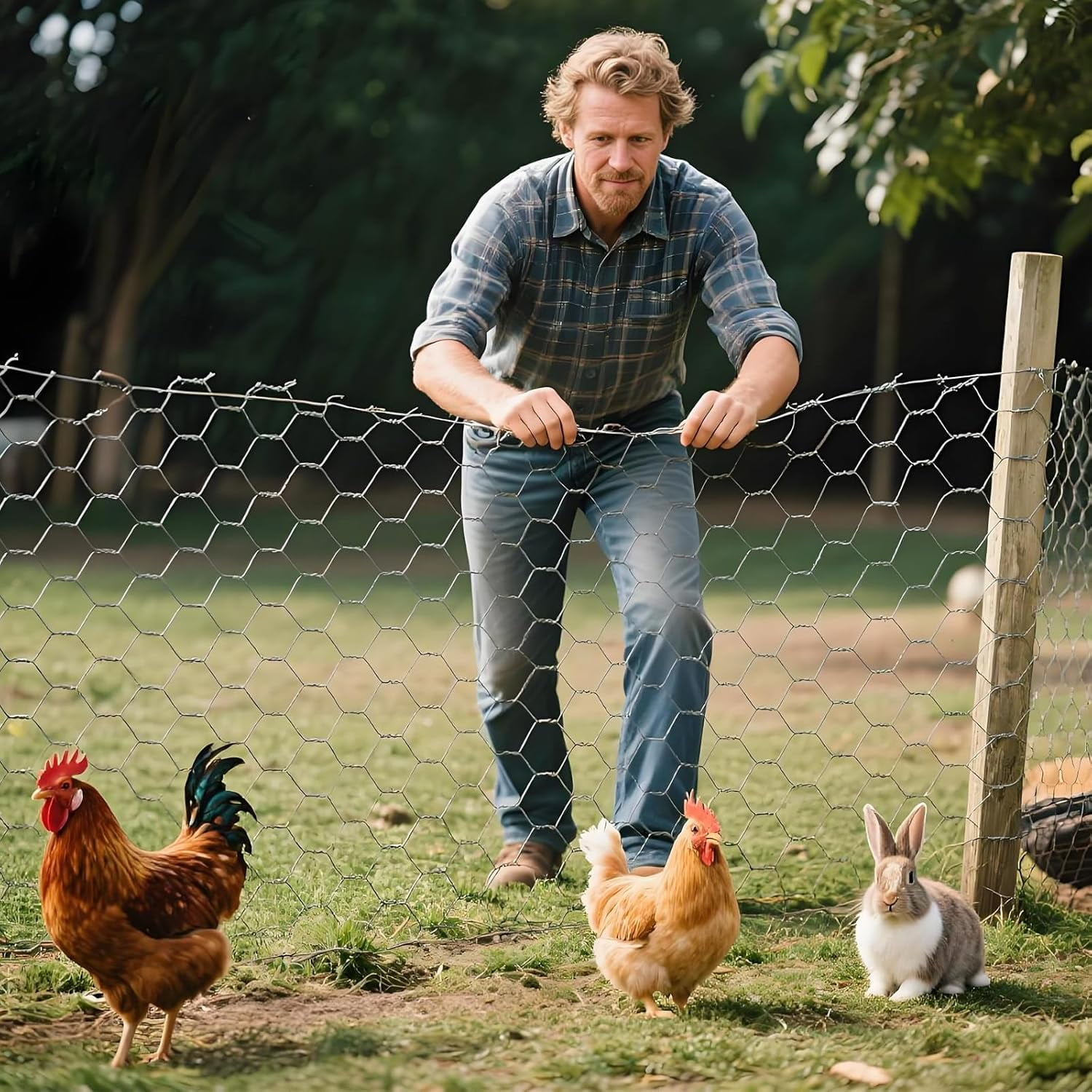 Chicken Wire, 15.7 in x 50 ft Garden Fence, Wire Mesh, Chicken Wires Fencing, Mesh Hexagonal Galvanized Metal Poultry Netting for Chicken Coop Rabbit Dogs Barrier (15.7 in x 50 ft)