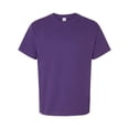 thumbnail image 1 of Hanes Athlétique Violet 10 5TG, 1 of 1