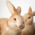 thumbnail image 2 of Sullivans 6" Brown Sitting Bunny Figurines Set of 2, Ceramic, 2 of 3