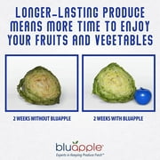 Bluapple Produce Saver Refrigerator Accessories Blue Reusable Activated Carbon