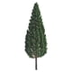 thumbnail image 1 of Ounissouiy Paisaje en miniatura Árbol Modelo Ferrocarril Planta Decoración Pinos Decoración Prop Decoración 8.5 cm, 1 of 6