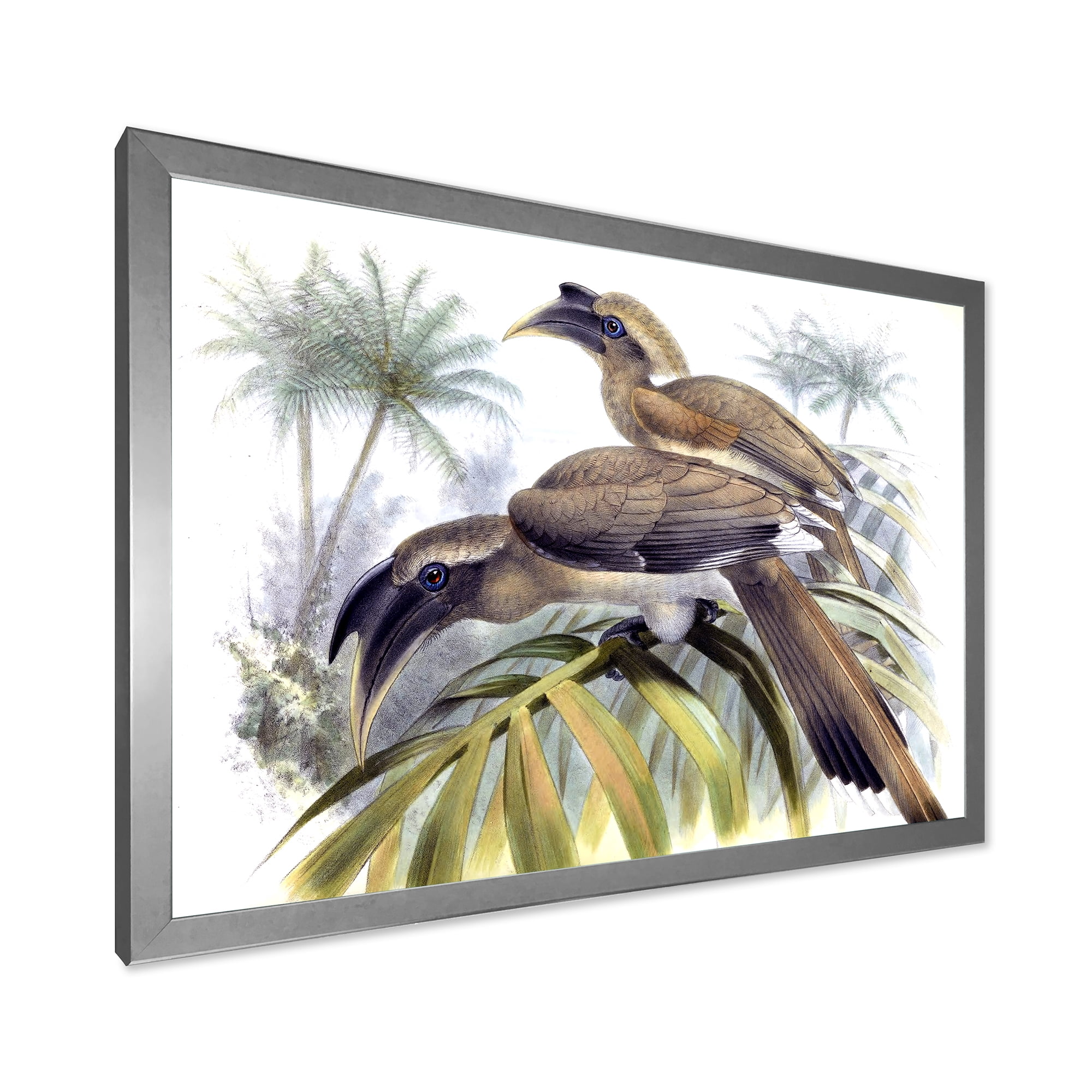Designart 'Ancient Australian Birds XIV' Traditional Framed Art Print