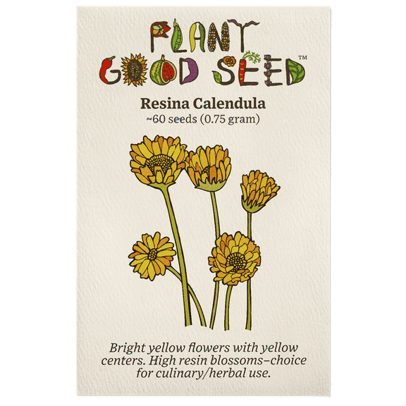 Plant Good Seed Resina Calendula Seeds for Planting Organic Partial Sun Annual Flower 60 Seed Packet