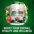 thumbnail image 5 of EHP Labs OxyGreens Super Greens Powder - Spirulina & Chlorella Superfood, Green Juice Powder & Greens Supplements with Prebiotic Fibre, Antioxidants & Immunity Support, 30 Serves (Pineapple), 5 of 10