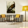 thumbnail image 2 of John James Audubon Painting The Wild Turkey By Audubon Canvas Art Birds Framed Wall Art, 2 of 7