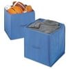 Whitmor Set of 2 Collapsible 14" Storage Totes, Blue