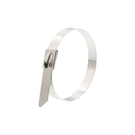 Secure Cable Ties 8 Inch Standard 316 Stainless Steel Cable Tie - 100 Pack