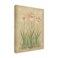 thumbnail image 2 of Trademark Fine Art 'Pink Blooms On Parchment' Canvas Art by Debra Lake, 2 of 3