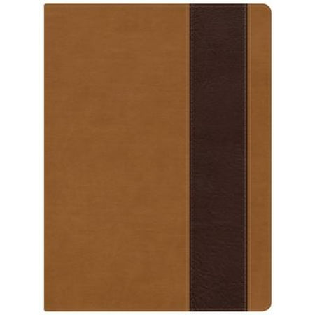 holman study bible nkjv pdf