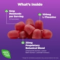 thumbnail image 3 of Gominolas para dormir Natrol Sleep+ Calm Melatonina para adultos, 60 g, 3 of 7