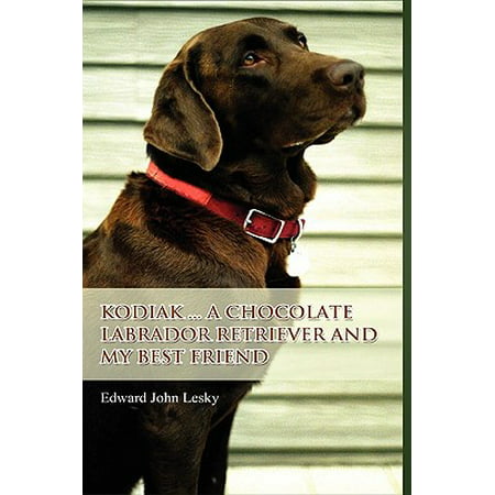 Kodiak ... a Chocolate Labrador Retriever and My Best