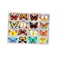 thumbnail image 4 of Rainbow Maker Window Cling, Película para ventanas, Vinilo para ventanas, Etiqueta engomada de vidrio, Calcomanía de ventana de mariposa para cocina Estilo B, 4 of 8