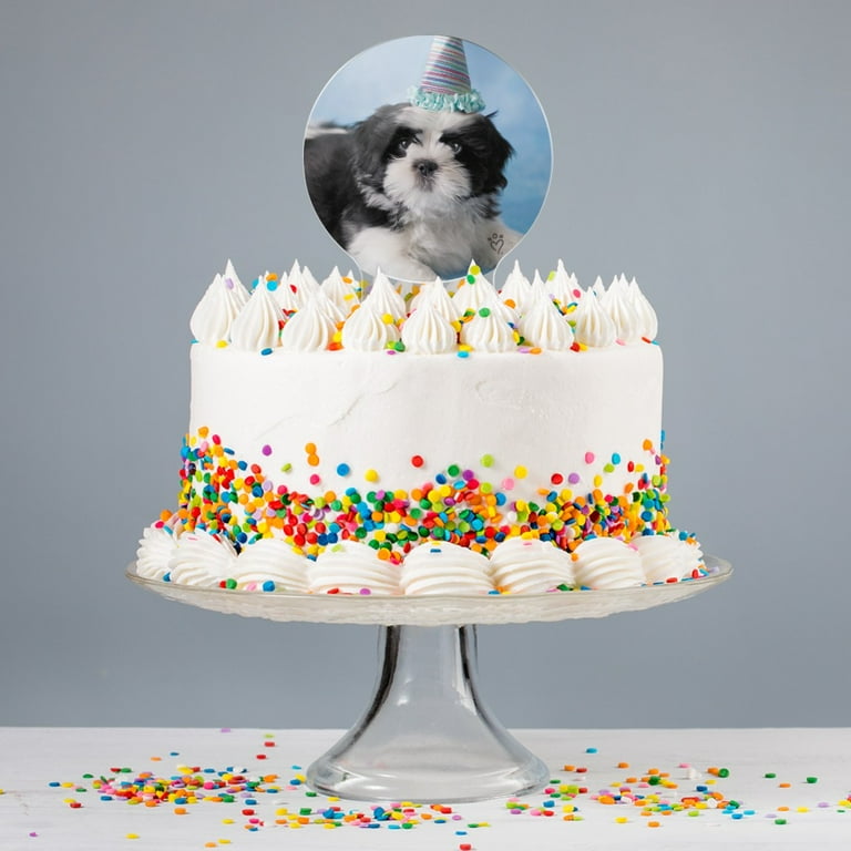 Shih tzu birthday clearance cake