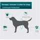 thumbnail image 4 of Collar antipulgas y garrapatas TevraPet Activate II para perros, 4 of 13