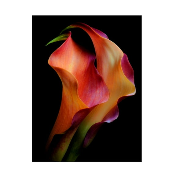 Jon Kinney 'Tenderness' Canvas Art