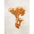 thumbnail image 2 of Purinton, Julia 25x32 White Modern Wood Framed Museum Art Print Titled - Woodland Mushroom IV, 2 of 4