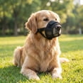 thumbnail image 6 of Breathable Dog Muzzle, Adjustable Mesh Mouth Guard for Dogs with Soft Padding, Anti Bite Barking Licking Control Muzzle Allowing Panting Drinking for Walking Training Grooming and Vet Visits, 6 of 9
