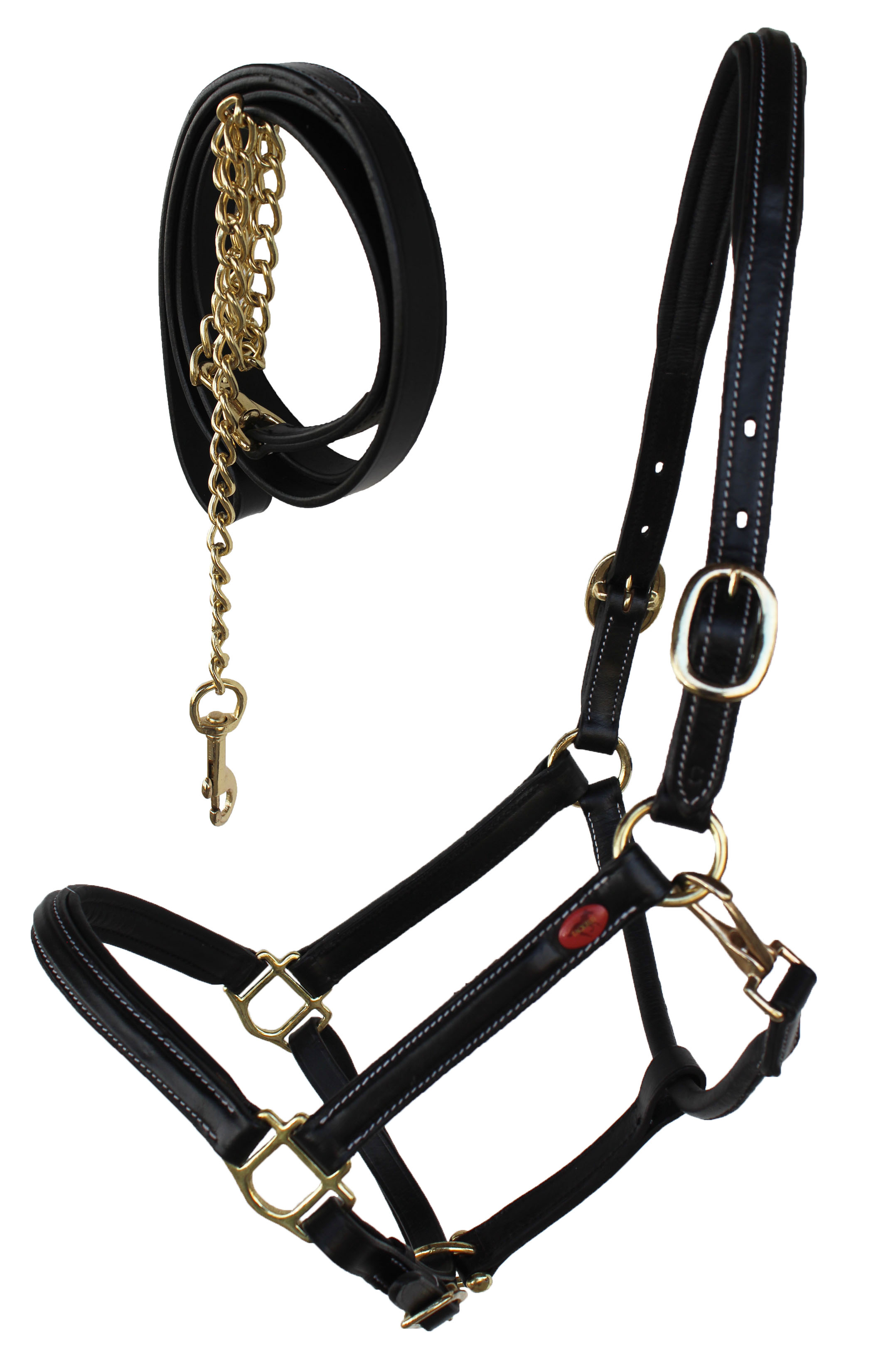 Horse English Padded Leather Cob Western Show Halter Black 803215BKC