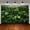 SBJ-008, variant on 7x5ft Rainforest Photography Backdrop Tropical Jungle Scenery Waterfall Background Summer Event School Classroom Party Decorations Photo Props