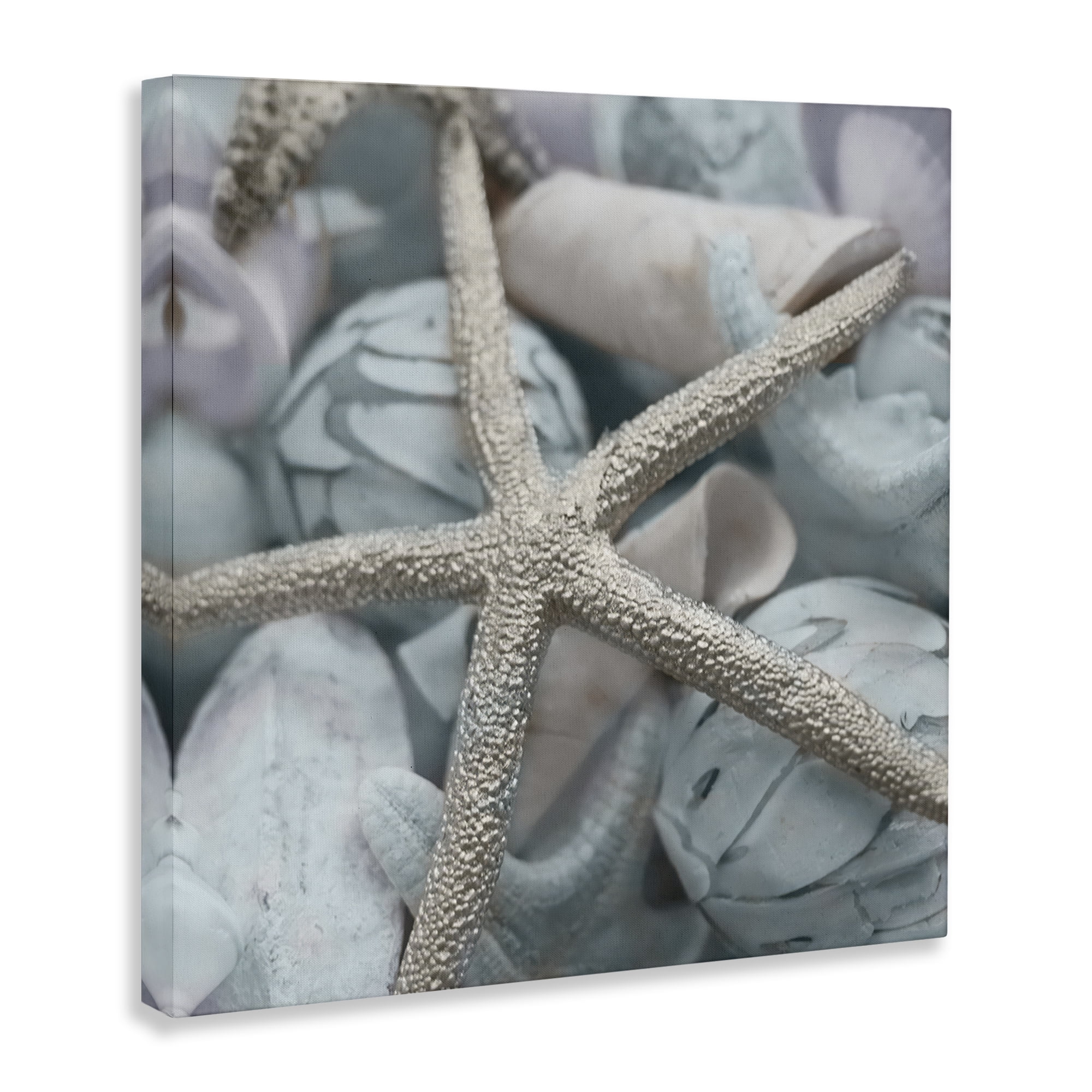Stupell Industries Starfish & Various Shells Nautical & Beach Photography Wrapped Canvas Art Print Wall Art, 30 x 30