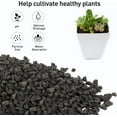 thumbnail image 3 of 2.5 Pound Black Lava Rocks for Plant, Succulent, Landscaping, Top-Dressing, Pure Volcanic Rocks, 1/5 Inch, 3 of 7
