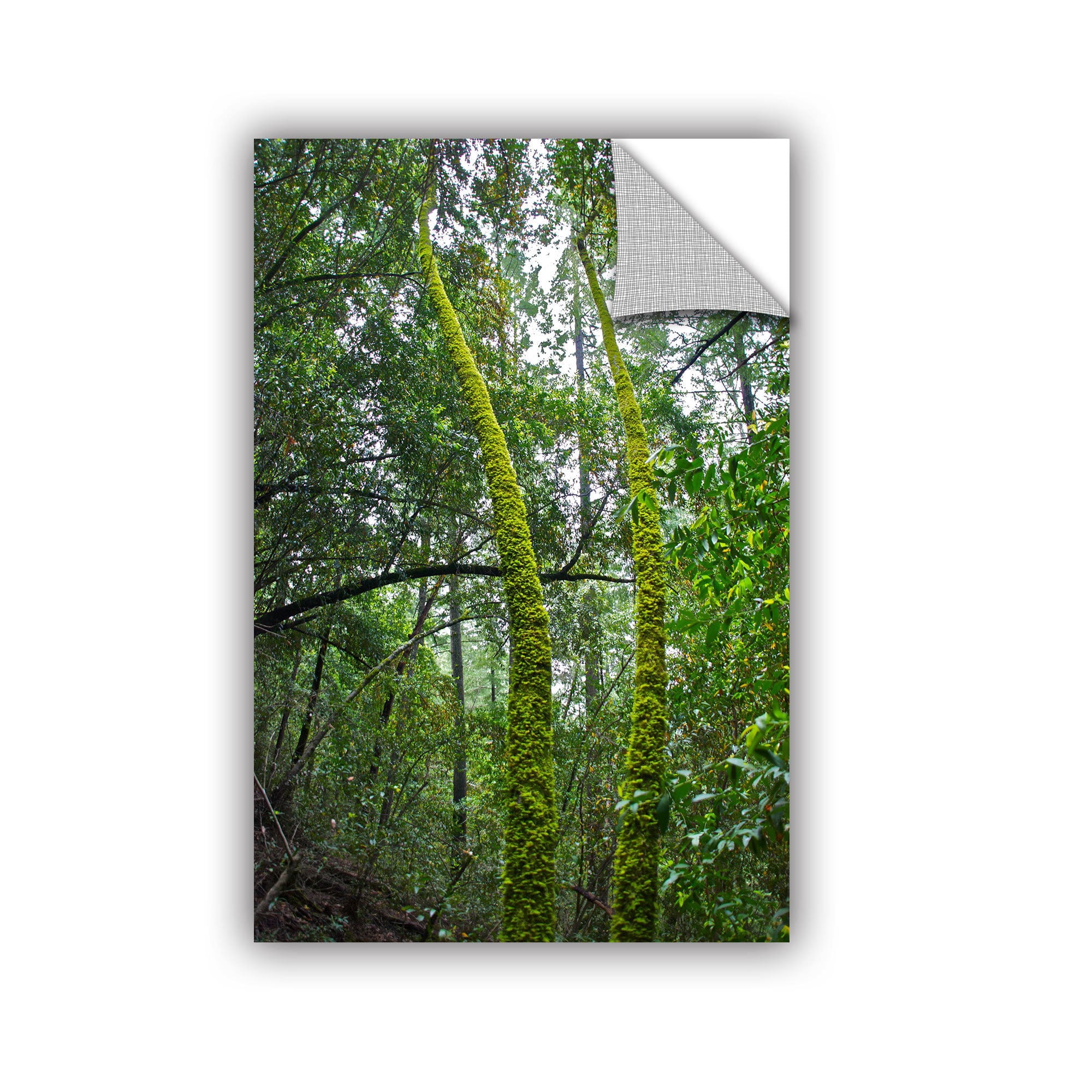 ArtWall Dan Wilson "Green Trees" ArtAppealz Removable Wall Art