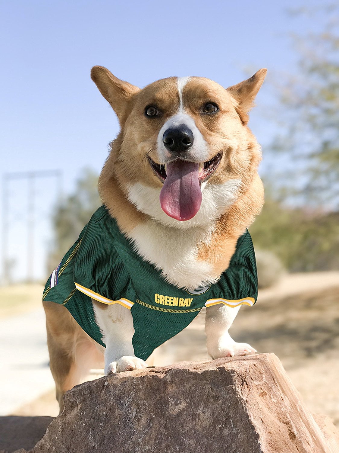 Pets First NFL Green Bay PackersLicensed Mesh Jersey for Dogs and Cats - Extra Extra large