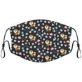 thumbnail image 1 of Cute Pomeranian Dog Graphic Printed Cloth Face Masks Reusable Washable Adjustable for Child (10 PCS), 1 of 5
