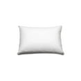 thumbnail image 3 of Total Defense Cotton Pillow Protector Queen, 3 of 3
